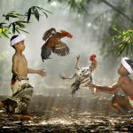 conflict 1