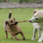 conflict 2